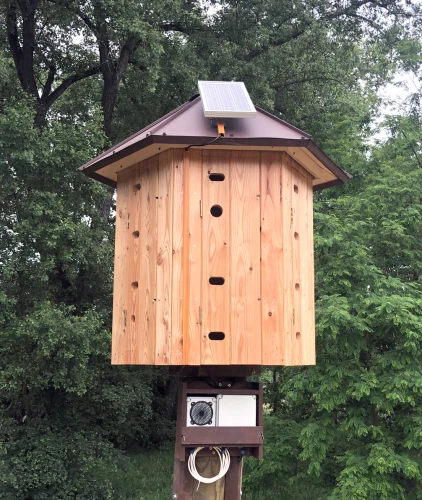 wieża lęgowa dla jerzyków - jerzykownik kryty blachą z instalacją wabiącą.