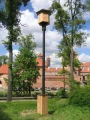 Jerzykownik Lidzbark Warmiński.