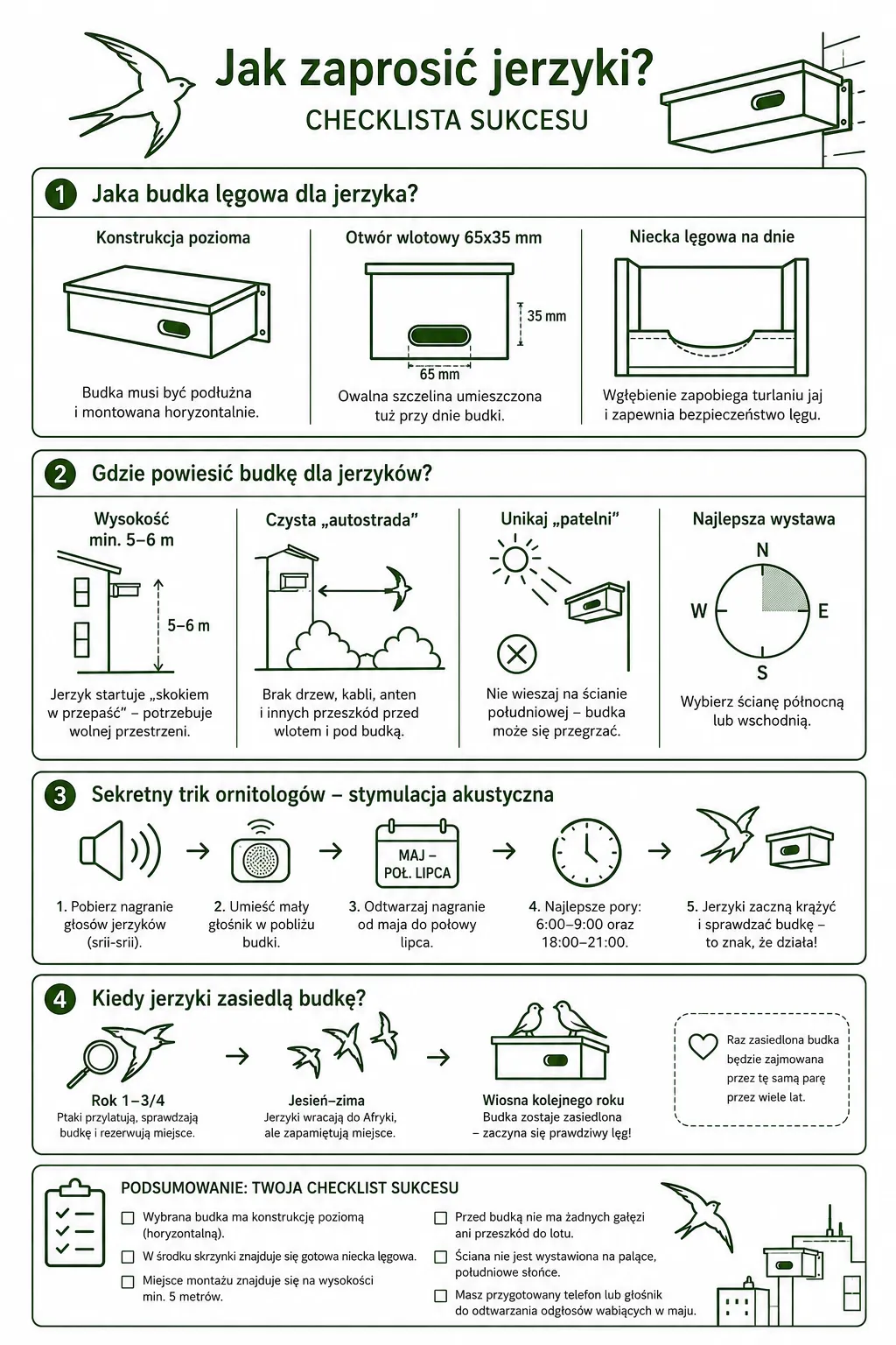 Infografika jak skutecznie zwabić jerzyki do budki